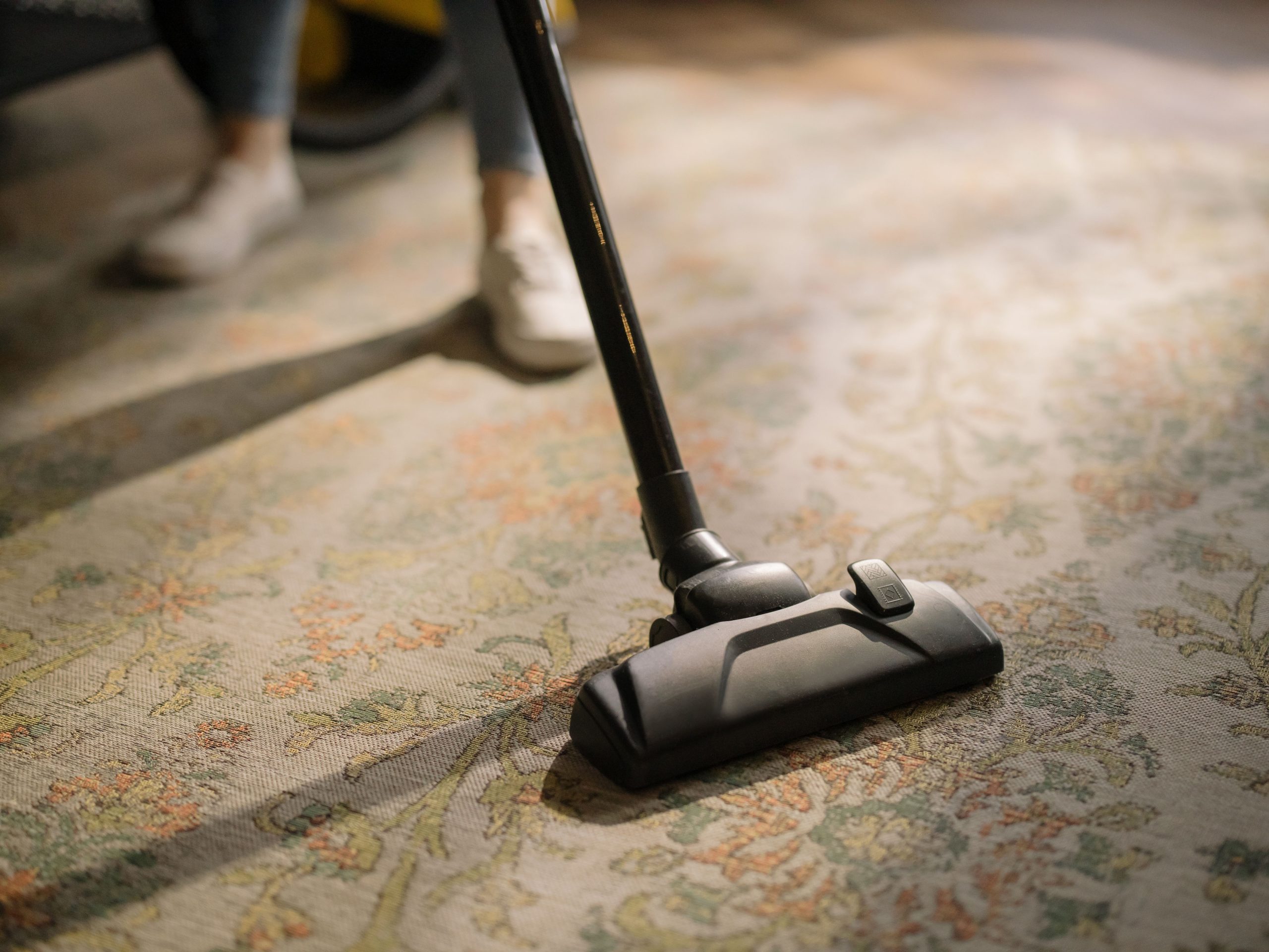 Carpet and oven cleaning